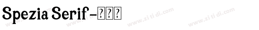 Spezia Serif字体转换